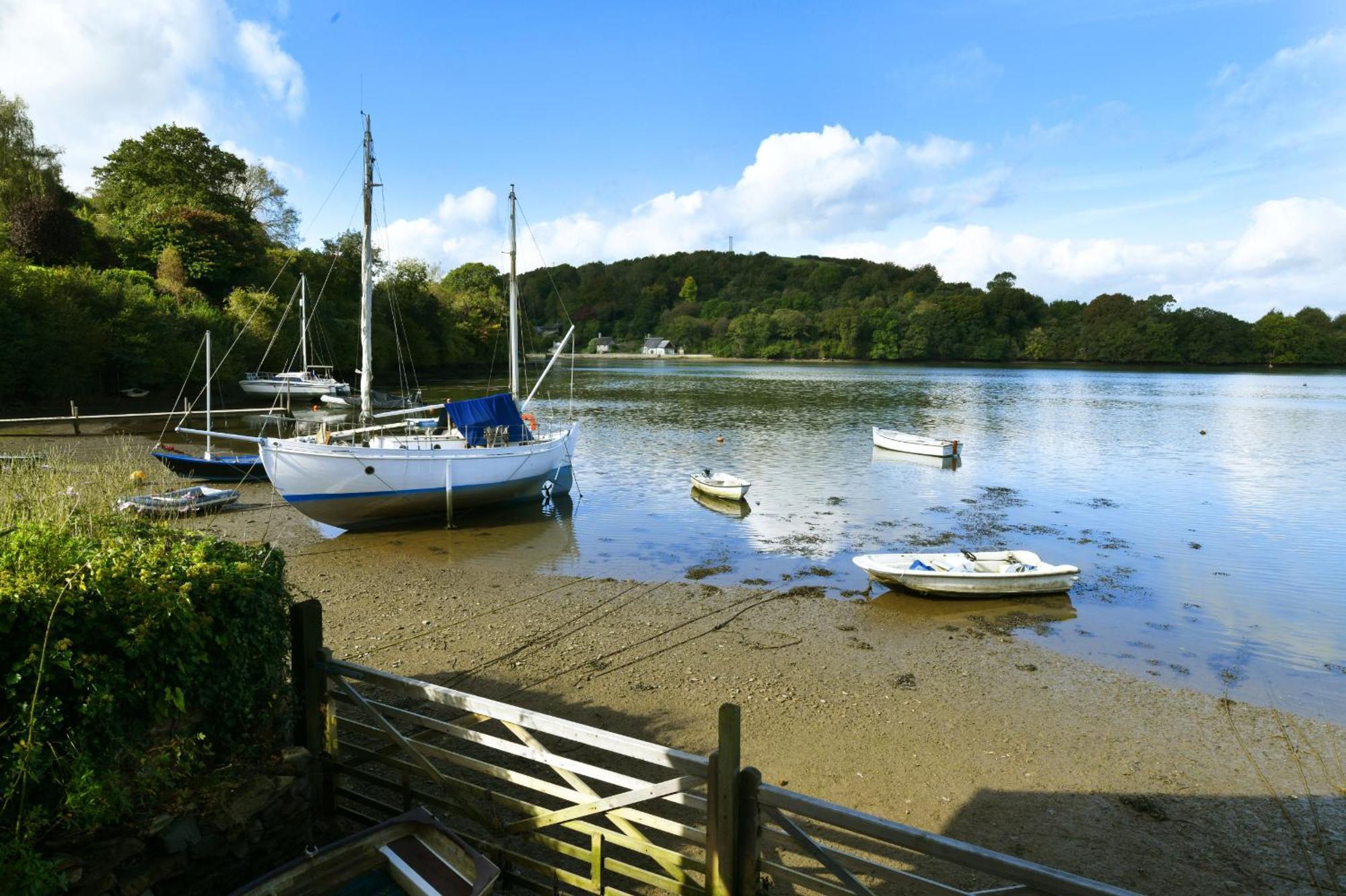 Vila Water Edge House & Boathouse - With Swimming Pool Dittisham Exteriér fotografie